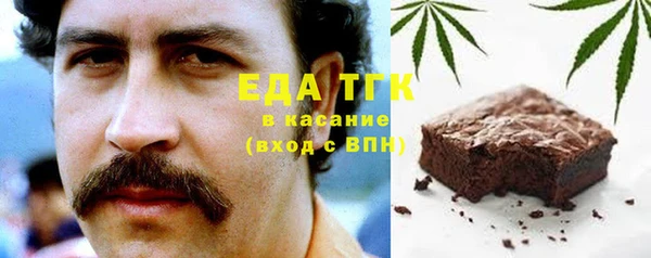 индика Заводоуковск