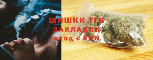 ГАЛЛЮЦИНОГЕННЫЕ ГРИБЫ Ельня