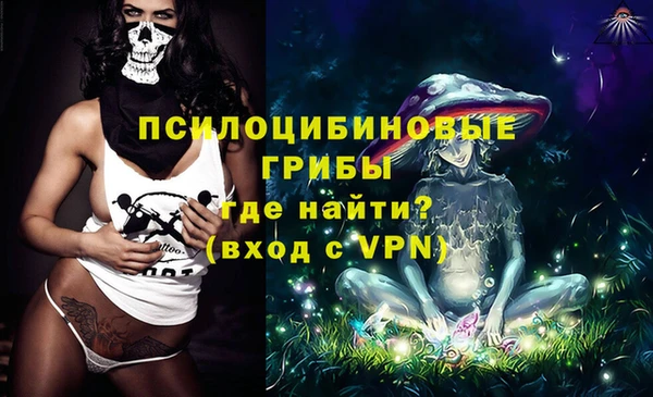 ГАЛЛЮЦИНОГЕННЫЕ ГРИБЫ Ельня