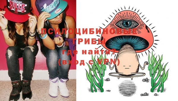 спайс Елизово