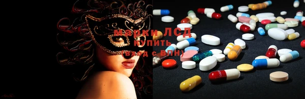 ГАЛЛЮЦИНОГЕННЫЕ ГРИБЫ Ельня