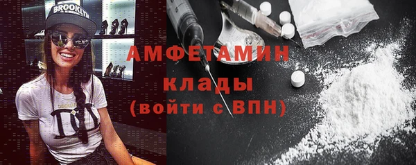 ГАЛЛЮЦИНОГЕННЫЕ ГРИБЫ Ельня