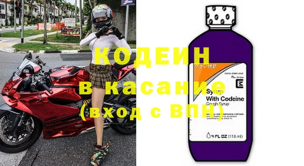 ГАЛЛЮЦИНОГЕННЫЕ ГРИБЫ Ельня