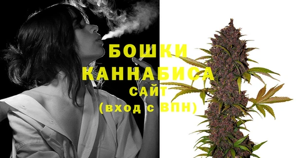 ГАЛЛЮЦИНОГЕННЫЕ ГРИБЫ Ельня