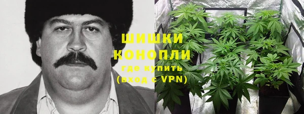 спайс Елизово
